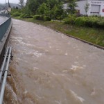 IMG_20130603_080546_0